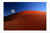 Full Moon over Red Dunes by Anonymous