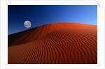 Full Moon over Red Dunes by Anonymous