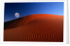 Full Moon over Red Dunes by Anonymous