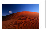 Full Moon over Red Dunes by Anonymous