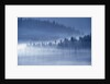 Mist Hiding Trees Above the Little Spokane River Valley by Anonymous