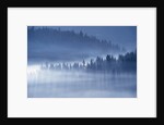 Mist Hiding Trees Above the Little Spokane River Valley by Anonymous