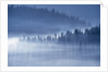 Mist Hiding Trees Above the Little Spokane River Valley by Anonymous