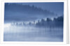 Mist Hiding Trees Above the Little Spokane River Valley by Anonymous