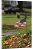 Small American Flag Posted in Yard by Anonymous