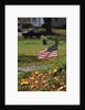 Small American Flag Posted in Yard by Anonymous