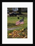 Small American Flag Posted in Yard by Anonymous