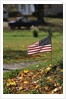 Small American Flag Posted in Yard by Anonymous
