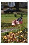 Small American Flag Posted in Yard by Anonymous