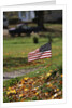 Small American Flag Posted in Yard by Anonymous