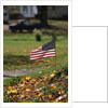 Small American Flag Posted in Yard by Anonymous