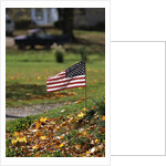 Small American Flag Posted in Yard by Anonymous