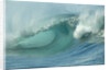 Shorebreak Waves in Waimea Bay by Anonymous