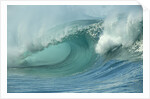Shorebreak Waves in Waimea Bay by Anonymous