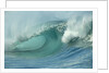Shorebreak Waves in Waimea Bay by Anonymous