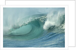 Shorebreak Waves in Waimea Bay by Anonymous