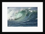 Shorebreak Waves in Waimea Bay by Anonymous