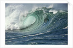Shorebreak Waves in Waimea Bay by Anonymous