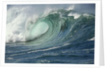 Shorebreak Waves in Waimea Bay by Anonymous