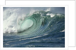 Shorebreak Waves in Waimea Bay by Anonymous