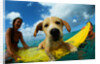 Puppy Riding on Surfboard by Anonymous