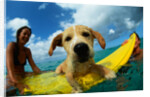 Puppy Riding on Surfboard by Anonymous