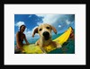 Puppy Riding on Surfboard by Anonymous