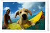 Puppy Riding on Surfboard by Anonymous