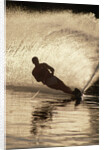 Water Skier Splashing on a Turn by Anonymous
