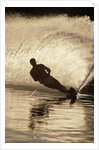 Water Skier Splashing on a Turn by Anonymous