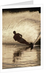 Water Skier Splashing on a Turn by Anonymous