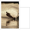 Water Skier Splashing on a Turn by Anonymous