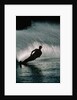 Water Skier in a Slalom Turn by Anonymous