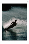 Water Skier in a Slalom Turn by Anonymous