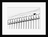 Bird on a Fence by Anonymous