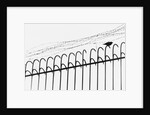 Bird on a Fence by Anonymous