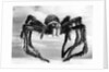 Giant Replica from the Movie Tarantula by Anonymous