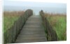 Wooden Walkway to Beach by Anonymous