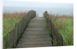 Wooden Walkway to Beach by Anonymous