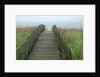 Wooden Walkway to Beach by Anonymous