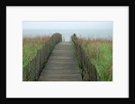 Wooden Walkway to Beach by Anonymous