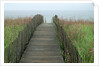 Wooden Walkway to Beach by Anonymous