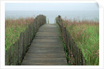 Wooden Walkway to Beach by Anonymous