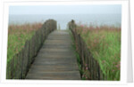 Wooden Walkway to Beach by Anonymous