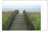 Wooden Walkway to Beach by Anonymous