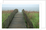 Wooden Walkway to Beach by Anonymous