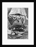 Crew of Charles Darwin's Ship Shark Fishing by Anonymous