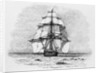 The Darwin Crew Homeward Bound Aboard the HMS Beagle by Anonymous