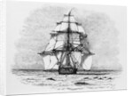 The Darwin Crew Homeward Bound Aboard the HMS Beagle by Anonymous