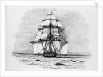 The Darwin Crew Homeward Bound Aboard the HMS Beagle by Anonymous